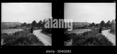 Un homme marchant le long d'un chemin à Roda de Barà, capturé par Josep Maria Armengol i Bas entre 1899 et 1910. L'image reflète le mode de vie rural et le paysage de l'époque. Banque D'Images