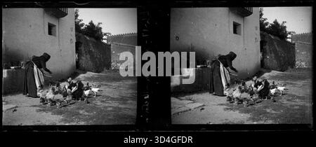 Image entre 1899 et 1910 montrant une femme âgée nourrissant des poulets dans la cour du presbytère de Llerona, capturée par Josep Maria Armengol i Bas. Banque D'Images