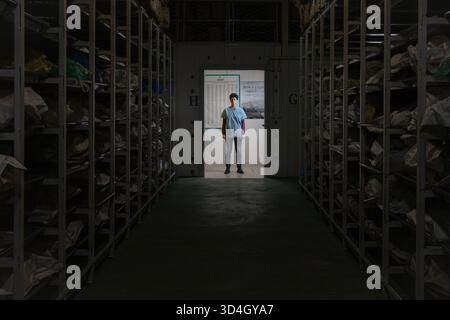 L'anthropologue légiste Dragana Vucetic de la Commission internationale des personnes disparues (ICMP) tente d'identifier les restes d'une victime de la guerre de Bosnie de 1992 à 95, Tuzla, Bosnie-Herzégovine. Banque D'Images