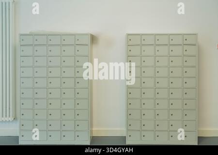 potbelly pig. Armoires de rangement minimalistes avec de nombreux tiroirs, positionnées contre un mur lisse, créant une atmosphère propre et organisée Banque D'Images