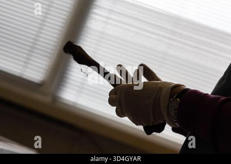 L'anthropologue légiste Dragana Vucetic de la Commission internationale des personnes disparues (ICMP) tente d'identifier les restes d'une victime de la guerre de Bosnie de 1992 à 95, Tuzla, Bosnie-Herzégovine. Banque D'Images