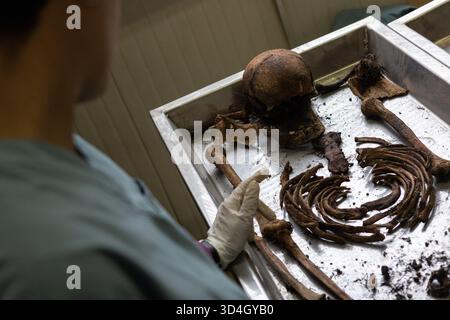 L'anthropologue légiste Dragana Vucetic de la Commission internationale des personnes disparues (ICMP) tente d'identifier les restes d'une victime de la guerre de Bosnie de 1992 à 95, Tuzla, Bosnie-Herzégovine. Banque D'Images