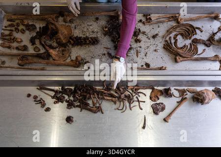 L'anthropologue légiste Dragana Vucetic de la Commission internationale des personnes disparues (ICMP) tente d'identifier les restes d'une victime de la guerre de Bosnie de 1992 à 95, Tuzla, Bosnie-Herzégovine. Banque D'Images