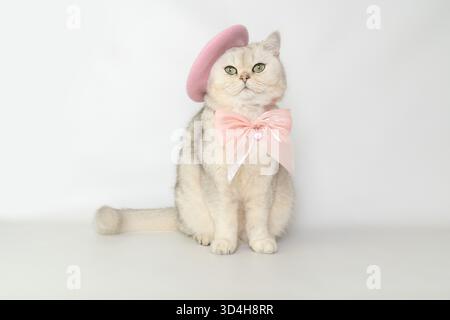 Chat élégant en béret rose et noeud papillon Banque D'Images