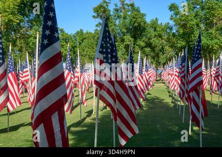 Cathedral City, Californie, États-Unis. 10 novembre 2025. Cette photographie capture quelques-uns des deux mille drapeaux américains installés par des bénévoles pour le 18e hommage annuel Fields of Valor présenté par le Cathedral City Evening Rotary. Ouvert le 8'''14 2025 novembre, l'exposition honore les vétérans locaux, comprend une reconnaissance spéciale pour les récipiendaires Purple Heart et les chiens d'assistance, et est ouvert tous les jours de 8 H à 16 h avec des « Taps » joués à 16 h tous les jours. (Crédit image : © Ian L. Sitren/ZUMA Press Wire) USAGE ÉDITORIAL SEULEMENT ! Non destiné à UN USAGE commercial ! Crédit : ZUMA Press, Inc/Alamy Live News Banque D'Images