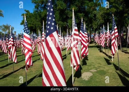 Cathedral City, Californie, États-Unis. 10 novembre 2025. Cette photographie capture quelques-uns des deux mille drapeaux américains installés par des bénévoles pour le 18e hommage annuel Fields of Valor présenté par le Cathedral City Evening Rotary. Ouvert le 8'''14 2025 novembre, l'exposition honore les vétérans locaux, comprend une reconnaissance spéciale pour les récipiendaires Purple Heart et les chiens d'assistance, et est ouvert tous les jours de 8 H à 16 h avec des « Taps » joués à 16 h tous les jours. (Crédit image : © Ian L. Sitren/ZUMA Press Wire) USAGE ÉDITORIAL SEULEMENT ! Non destiné à UN USAGE commercial ! Crédit : ZUMA Press, Inc/Alamy Live News Banque D'Images