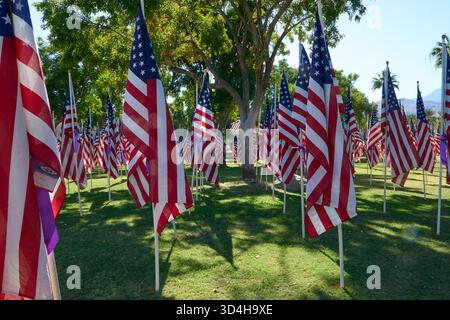 Cathedral City, Californie, États-Unis. 10 novembre 2025. Cette photographie capture quelques-uns des deux mille drapeaux américains installés par des bénévoles pour le 18e hommage annuel Fields of Valor présenté par le Cathedral City Evening Rotary. Ouvert le 8'''14 2025 novembre, l'exposition honore les vétérans locaux, comprend une reconnaissance spéciale pour les récipiendaires Purple Heart et les chiens d'assistance, et est ouvert tous les jours de 8 H à 16 h avec des « Taps » joués à 16 h tous les jours. (Crédit image : © Ian L. Sitren/ZUMA Press Wire) USAGE ÉDITORIAL SEULEMENT ! Non destiné à UN USAGE commercial ! Crédit : ZUMA Press, Inc/Alamy Live News Banque D'Images