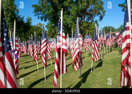 Cathedral City, Californie, États-Unis. 10 novembre 2025. Cette photographie capture quelques-uns des deux mille drapeaux américains installés par des bénévoles pour le 18e hommage annuel Fields of Valor présenté par le Cathedral City Evening Rotary. Ouvert le 8'''14 2025 novembre, l'exposition honore les vétérans locaux, comprend une reconnaissance spéciale pour les récipiendaires Purple Heart et les chiens d'assistance, et est ouvert tous les jours de 8 H à 16 h avec des « Taps » joués à 16 h tous les jours. (Crédit image : © Ian L. Sitren/ZUMA Press Wire) USAGE ÉDITORIAL SEULEMENT ! Non destiné à UN USAGE commercial ! Crédit : ZUMA Press, Inc/Alamy Live News Banque D'Images