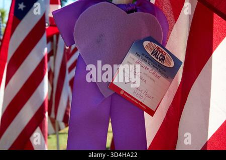 Cathedral City, Californie, États-Unis. 10 novembre 2025. Cette photographie capture quelques-uns des deux mille drapeaux américains installés par des bénévoles pour le 18e hommage annuel Fields of Valor présenté par le Cathedral City Evening Rotary. Ouvert le 8'''14 2025 novembre, l'exposition honore les vétérans locaux, comprend une reconnaissance spéciale pour les récipiendaires Purple Heart et les chiens d'assistance, et est ouvert tous les jours de 8 H à 16 h avec des « Taps » joués à 16 h tous les jours. (Crédit image : © Ian L. Sitren/ZUMA Press Wire) USAGE ÉDITORIAL SEULEMENT ! Non destiné à UN USAGE commercial ! Crédit : ZUMA Press, Inc/Alamy Live News Banque D'Images