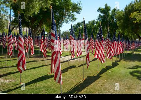 Cathedral City, Californie, États-Unis. 10 novembre 2025. Cette photographie capture quelques-uns des deux mille drapeaux américains installés par des bénévoles pour le 18e hommage annuel Fields of Valor présenté par le Cathedral City Evening Rotary. Ouvert le 8'''14 2025 novembre, l'exposition honore les vétérans locaux, comprend une reconnaissance spéciale pour les récipiendaires Purple Heart et les chiens d'assistance, et est ouvert tous les jours de 8 H à 16 h avec des « Taps » joués à 16 h tous les jours. (Crédit image : © Ian L. Sitren/ZUMA Press Wire) USAGE ÉDITORIAL SEULEMENT ! Non destiné à UN USAGE commercial ! Crédit : ZUMA Press, Inc/Alamy Live News Banque D'Images