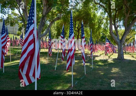 Cathedral City, Californie, États-Unis. 10 novembre 2025. Cette photographie capture quelques-uns des deux mille drapeaux américains installés par des bénévoles pour le 18e hommage annuel Fields of Valor présenté par le Cathedral City Evening Rotary. Ouvert le 8'''14 2025 novembre, l'exposition honore les vétérans locaux, comprend une reconnaissance spéciale pour les récipiendaires Purple Heart et les chiens d'assistance, et est ouvert tous les jours de 8 H à 16 h avec des « Taps » joués à 16 h tous les jours. (Crédit image : © Ian L. Sitren/ZUMA Press Wire) USAGE ÉDITORIAL SEULEMENT ! Non destiné à UN USAGE commercial ! Crédit : ZUMA Press, Inc/Alamy Live News Banque D'Images