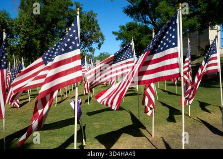 Cathedral City, Californie, États-Unis. 10 novembre 2025. Cette photographie capture quelques-uns des deux mille drapeaux américains installés par des bénévoles pour le 18e hommage annuel Fields of Valor présenté par le Cathedral City Evening Rotary. Ouvert le 8'''14 2025 novembre, l'exposition honore les vétérans locaux, comprend une reconnaissance spéciale pour les récipiendaires Purple Heart et les chiens d'assistance, et est ouvert tous les jours de 8 H à 16 h avec des « Taps » joués à 16 h tous les jours. (Crédit image : © Ian L. Sitren/ZUMA Press Wire) USAGE ÉDITORIAL SEULEMENT ! Non destiné à UN USAGE commercial ! Crédit : ZUMA Press, Inc/Alamy Live News Banque D'Images