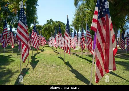 Cathedral City, Californie, États-Unis. 10 novembre 2025. Cette photographie capture quelques-uns des deux mille drapeaux américains installés par des bénévoles pour le 18e hommage annuel Fields of Valor présenté par le Cathedral City Evening Rotary. Ouvert le 8'''14 2025 novembre, l'exposition honore les vétérans locaux, comprend une reconnaissance spéciale pour les récipiendaires Purple Heart et les chiens d'assistance, et est ouvert tous les jours de 8 H à 16 h avec des « Taps » joués à 16 h tous les jours. (Crédit image : © Ian L. Sitren/ZUMA Press Wire) USAGE ÉDITORIAL SEULEMENT ! Non destiné à UN USAGE commercial ! Crédit : ZUMA Press, Inc/Alamy Live News Banque D'Images