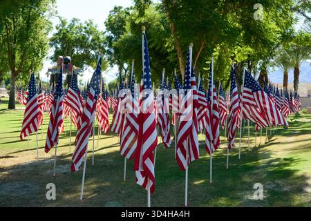 Cathedral City, Californie, États-Unis. 10 novembre 2025. Cette photographie capture quelques-uns des deux mille drapeaux américains installés par des bénévoles pour le 18e hommage annuel Fields of Valor présenté par le Cathedral City Evening Rotary. Ouvert le 8'''14 2025 novembre, l'exposition honore les vétérans locaux, comprend une reconnaissance spéciale pour les récipiendaires Purple Heart et les chiens d'assistance, et est ouvert tous les jours de 8 H à 16 h avec des « Taps » joués à 16 h tous les jours. (Crédit image : © Ian L. Sitren/ZUMA Press Wire) USAGE ÉDITORIAL SEULEMENT ! Non destiné à UN USAGE commercial ! Crédit : ZUMA Press, Inc/Alamy Live News Banque D'Images