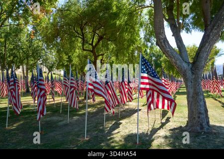 Cathedral City, Californie, États-Unis. 10 novembre 2025. Cette photographie capture quelques-uns des deux mille drapeaux américains installés par des bénévoles pour le 18e hommage annuel Fields of Valor présenté par le Cathedral City Evening Rotary. Ouvert le 8'''14 2025 novembre, l'exposition honore les vétérans locaux, comprend une reconnaissance spéciale pour les récipiendaires Purple Heart et les chiens d'assistance, et est ouvert tous les jours de 8 H à 16 h avec des « Taps » joués à 16 h tous les jours. (Crédit image : © Ian L. Sitren/ZUMA Press Wire) USAGE ÉDITORIAL SEULEMENT ! Non destiné à UN USAGE commercial ! Crédit : ZUMA Press, Inc/Alamy Live News Banque D'Images