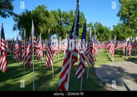 Cathedral City, Californie, États-Unis. 10 novembre 2025. Cette photographie capture quelques-uns des deux mille drapeaux américains installés par des bénévoles pour le 18e hommage annuel Fields of Valor présenté par le Cathedral City Evening Rotary. Ouvert le 8'''14 2025 novembre, l'exposition honore les vétérans locaux, comprend une reconnaissance spéciale pour les récipiendaires Purple Heart et les chiens d'assistance, et est ouvert tous les jours de 8 H à 16 h avec des « Taps » joués à 16 h tous les jours. (Crédit image : © Ian L. Sitren/ZUMA Press Wire) USAGE ÉDITORIAL SEULEMENT ! Non destiné à UN USAGE commercial ! Crédit : ZUMA Press, Inc/Alamy Live News Banque D'Images