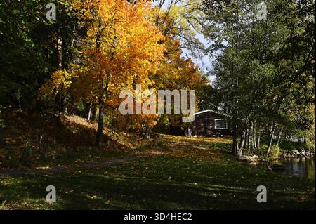 Une scène automnale sereine avec des arbres jaunes et orangés vibrants entourant une cabane en bois près d'un lac calme. La lumière du soleil filtre à travers le fol coloré Banque D'Images