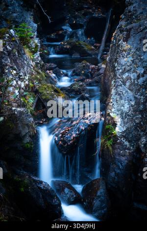 Ruisseau forestier paisible en cascade sur des roches moussues dans un mouvement doux et fluide Banque D'Images