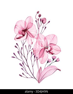 Bouquet d'orchidées aquarelle. Fleurs transparentes abstraites, branches élégantes et feuilles en rose poussiéreux et violet. Botanique isolé dessiné à la main Banque D'Images