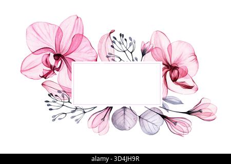 Orchidée transparente cadre rectangulaire de fleurs, feuilles d'eucalyptus et branches. Illustration vintage florale aquarelle peinte à la main pour le texte et Banque D'Images