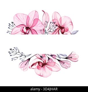 Conception d'orchidée transparente. Étiquette de fleurs, feuilles et branches avec place pour le texte. Illustration vintage florale aquarelle peinte à la main pour Banque D'Images