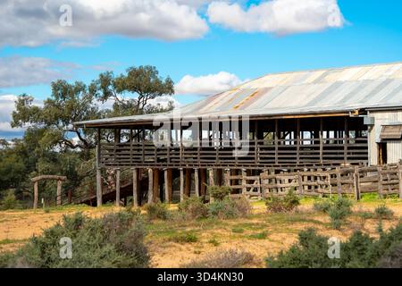 Le Kinchega Woolshed, un hangar de tonte classé au patrimoine de 1875 près de la rivière Darling Baaka à 15 km de la ville de Menindee, Nouvelle-Galles du Sud Banque D'Images