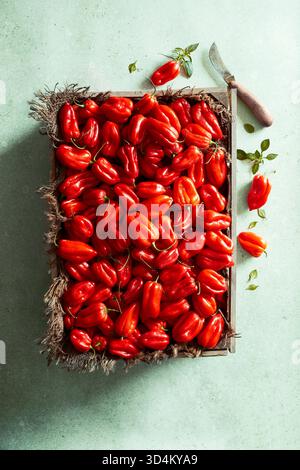Photographie culinaire en gros plan de piments habanero rouges éclatants disposés dans une caisse en bois rustique sur un fond de pierre clair. Idéal pour les thèmes de spi Banque D'Images