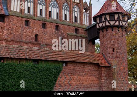 Gros plan du château de Malbork à Malbork, en Pologne, montre une tourelle cylindrique, un toit conique et une galerie à colombages, avec des fenêtres gothiques, du lierre et chaleureux Banque D'Images