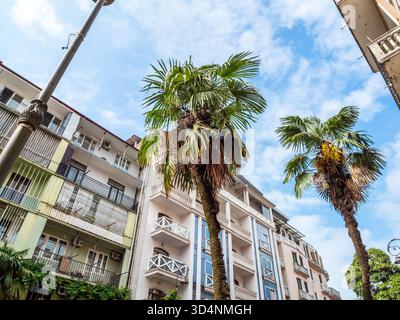 Palmiers et maison résidentielle moderne dans la ville de Batoumi, Géorgie le jour d'été Banque D'Images