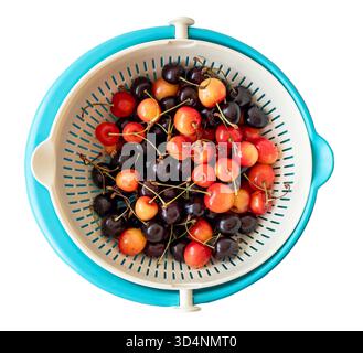 Vue de dessus des cerises douces noires et blanches fraîchement cueillies Armeniam dans la découpe de passoire sur fond blanc Banque D'Images