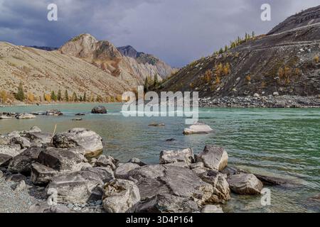 Une rivière froide à débit rapide serpentant à travers le paysage automnal de la République de l'Altaï, en Russie, entourée d'arbres dorés et de paysages montagneux accidentés. Banque D'Images