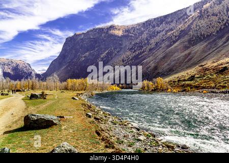 Une rivière froide à débit rapide serpentant à travers le paysage automnal de la République de l'Altaï, en Russie, entourée d'arbres dorés et de paysages montagneux accidentés. Banque D'Images