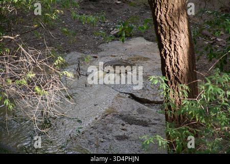 Un couvercle métallique de trou d'homme dans la forêt déborde d'eau contaminée. Le liquide coule sur la saleté et les roches, symbolisant les dommages environnementaux et infr Banque D'Images