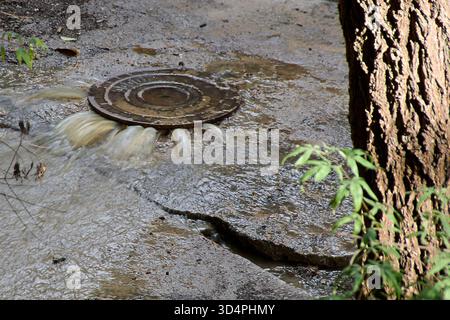 Gros plan d'eau sale jaillissant sous pression d'un couvercle métallique de trou d'homme dans un parc. Le liquide coule sur le sol, indiquant la défaillance et polluti Banque D'Images