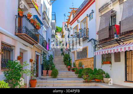 Alicante vieille ville quartier Santa Cruz avec Calle San Rafael rue étroite, maisons blanches typiques avec des fleurs et des plantes, Casco Antiguo à Alicante Banque D'Images