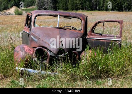 Un pick-up vintage érodé est abandonné dans un champ herbeux près de Salmo, Colombie-Britannique. Banque D'Images
