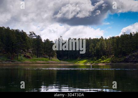Arbres verts à côté du lac au parc d'État Keyhole un jour de printemps dans le Wyoming. Banque D'Images