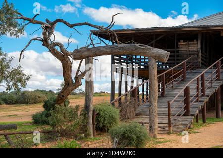 Le Kinchega Woolshed, un hangar de tonte classé au patrimoine de 1875 près de la rivière Darling Baaka à 15 km de la ville de Menindee, Nouvelle-Galles du Sud Banque D'Images