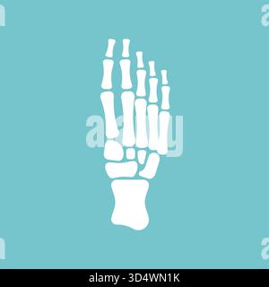squelette du pied humain (os et articulations). Représente l'anatomie, l'orthopédie, la podologie, la santé, les blessures, ou des concepts médicaux Illustration de Vecteur