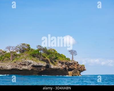 Kisiwa cha Kasa Mpunguti - le parc national marin de Kisite-Mpunguti est situé sur la côte sud du Kenya près de Shimoni et au sud de l'île Wasini Banque D'Images