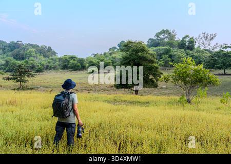 Caméraman asiatique photographe debout tenant un appareil photo au milieu d'un pré. Touriste mâle tirant sur le champ d'herbe et le paysage d'arbres. Backpacker Adven Banque D'Images