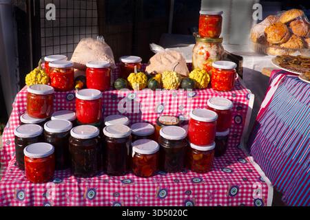 Un gros plan coloré de divers pots de conserves maison, y compris de la pâte de poivron rouge, des confitures et des légumes marinés, affichés sur un rose et blanc Banque D'Images