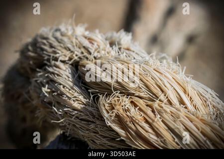 Grossissement d'une texture de corde épaisse en fibre naturelle torsadée Banque D'Images