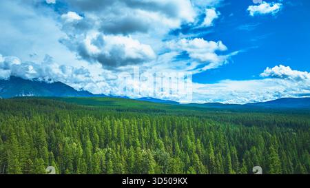 Aérien Evergreen Forest Blue Sky et Mountain Landscape Wyoming Banque D'Images