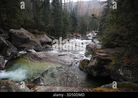 Ruisseau sauvage avec de l'eau turquoise s'accumulant entre les rochers dans la gorge de la forêt. Des mélèzes dorés encadrent des roches couvertes de mousse. Banque D'Images