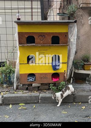 Abri pour chats à plusieurs niveaux avec motif de coeur et noms, placé sur la rue Istanbul pour soutenir les chats errants Banque D'Images