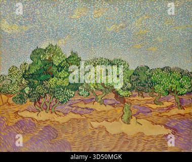 Oliviers de Vincent van Gogh Illustration de Vecteur