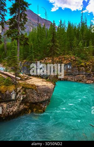 Rivière turquoise coulant à travers Rocky Canyon et Pine Forest avec la montagne en toile de fond Banque D'Images