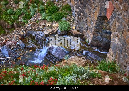 Cascade de montagne coulant au-dessus des rochers avec Stone Bridge et fleurs sauvages Banque D'Images