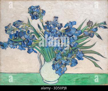 Par Vincent van Gogh iris Illustration de Vecteur
